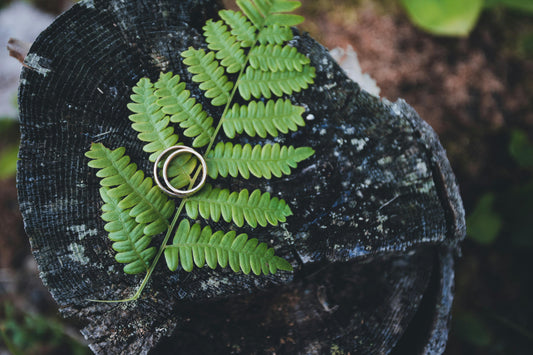 Welcome To Western Ridge Wedding Services!